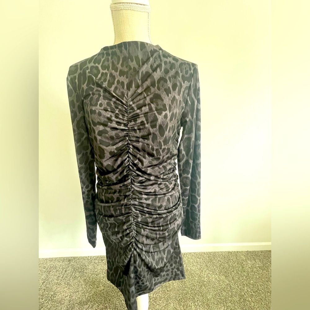 H&M Leopard Print Long Sleeve Mini Dress